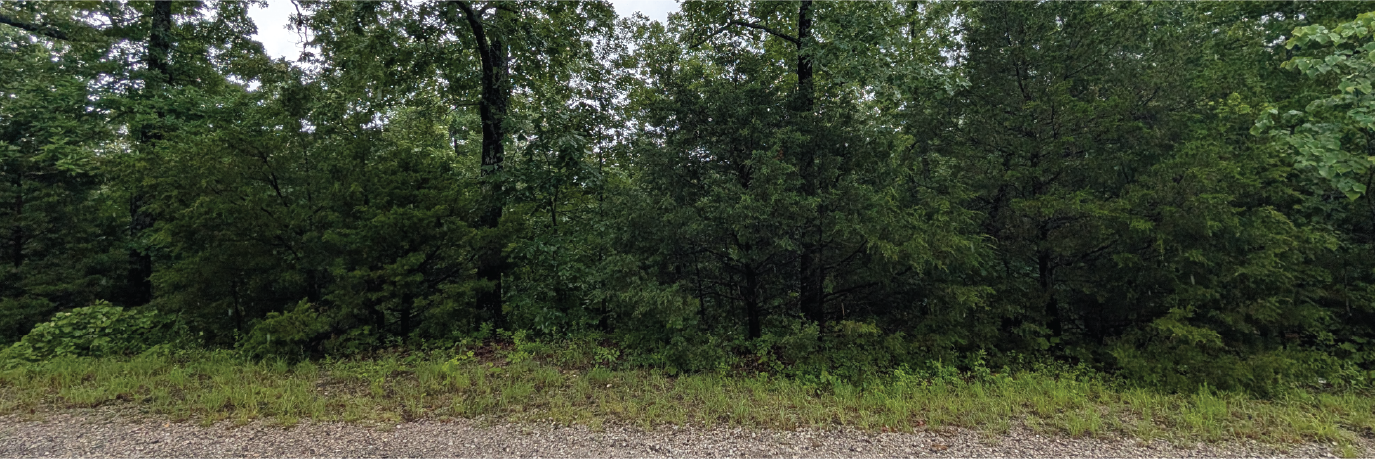 Scenic Lot Minutes from Crown Lake in Horseshoe Bend