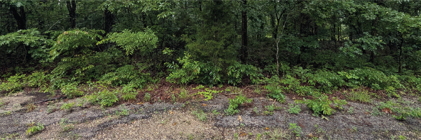 Prime Lot Near Crown Lake & Strawberry River 