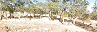 Well over a quarter acre of gorgeous property in a lovely town