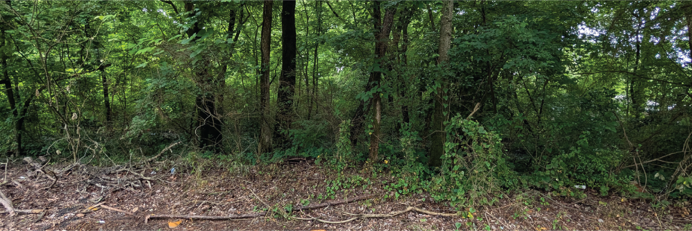 Almost 1.5 acres backing a lovely pond in a quiet part of town