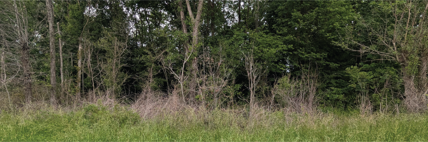 Large property in a small and charming town near two different rivers