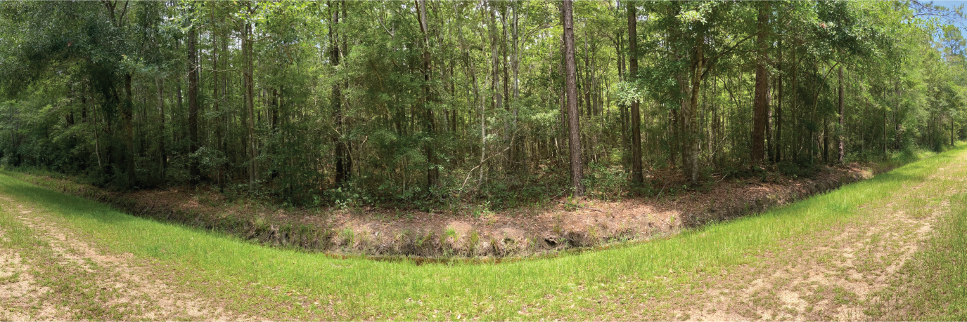 A charming lot in a peaceful neighborhood not far from the lake
