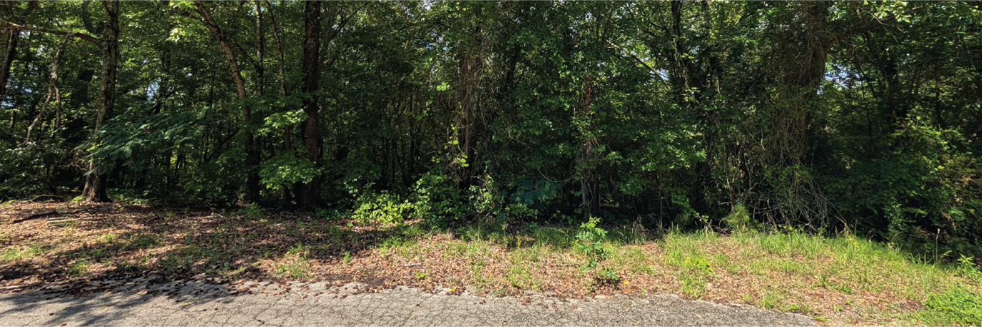 Great quarter acre property at the end of a charming cul de sac