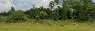 Great, large lot in an area with beautiful custom built homes
