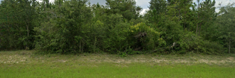 Almost an acre and a half at the end of a road in a beautiful area