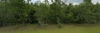 Beautiful property in a quiet neighborhood on the edge of town