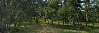 Beautiful property on almost half an acre in a charming small town