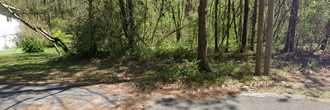 Charming property in a well maintained suburban area