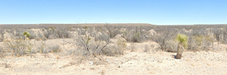 10 acres of endless possibilities awaits you in Hudspeth County