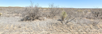 A wonderful 10 acre plot in the gorgeous high desert of Texas