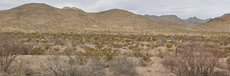 The epitome of peace and quiet is here in the beauty of west Texas