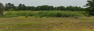 Almost half an acre of beautiful land at the end of a cul de sac