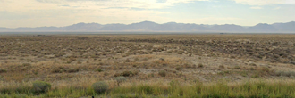 More than four and a half acres of beautiful land not far from town