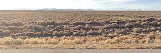 Gorgeous lot sitting on almost 5 acres of secluded bliss