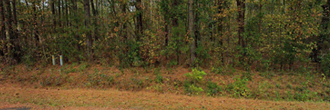 A gorgeous property in a quiet area with only a few homes around