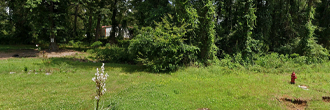 Almost half an acre of gorgeous country land in a beautiful area