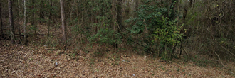 Gorgeous corner property in a beautifully maintained neighborhood