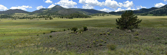 Well over 6 acres of stunning and secluded property