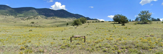 Just over 3.5 acres of gorgeous land full of potential in central CO