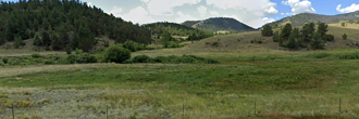 Nearly 5 acres of peaceful escape awaits you at this great property