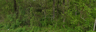 Beautiful property walking distance to the water's edge of Mud Lake