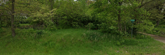 A wonderful corner property just a quick walk from a beautiful lake