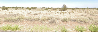 12 acres in the gorgeous Arizona desert near the Grand Canyon