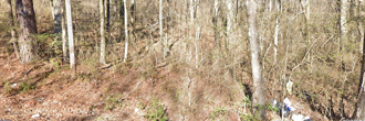 A great plot of land on the edge of the beautiful town of Birmingham