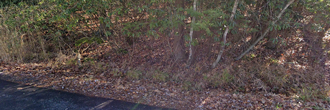 A plot of gorgeous land ready to become your favorite lakeside getaway