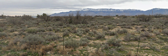 Just over an acre of great property not far from a charming town