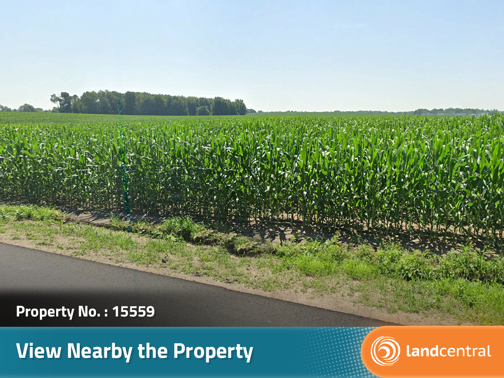 Beautiful property just down the road from your new favorite spot6