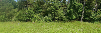 Beautiful property just down the road from your new favorite spot
