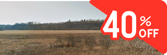 Almost half an acre of gorgeous property down the road from the lake