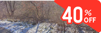 Just under an acre of gorgeous land near Dutch Hollow Lake
