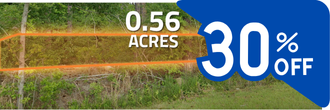 Over half an acre on a quiet street in a gorgeous small town