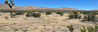 Well over an acre in an off roaders paradise community