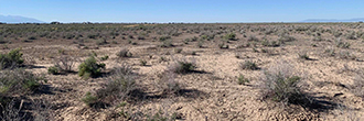 Find Peace at the base of the San Luis Valley