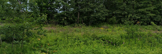 Pine County Minnesota Gem South of Stevens Lake