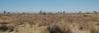 Over Two Acres of Land About 11 Miles from Lancaster