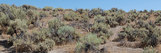 Stunning 1 Acre Property in Majestic Nevada Wilderness