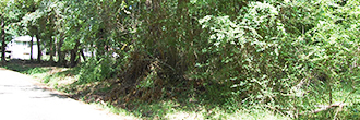 Mobile Home Friendly Spacious Warren Property