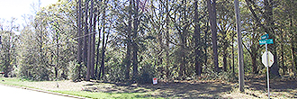 Wonderful Corner Lot in Albany