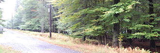 More Than Half Acre on Historic Land
