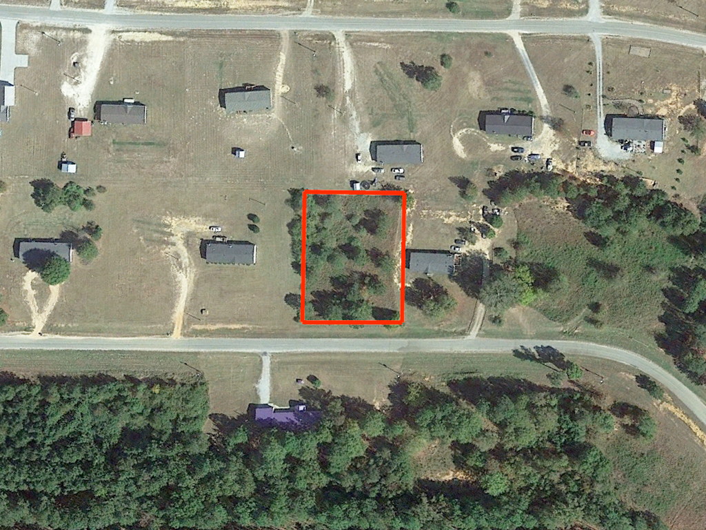 Nearly 3 Quarters of an Acre in Beautiful Peach State1