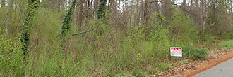 Nearly an acre in Peachtree City