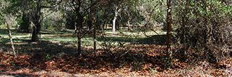 Large, narrow lot near St Johns River in a beautiful town