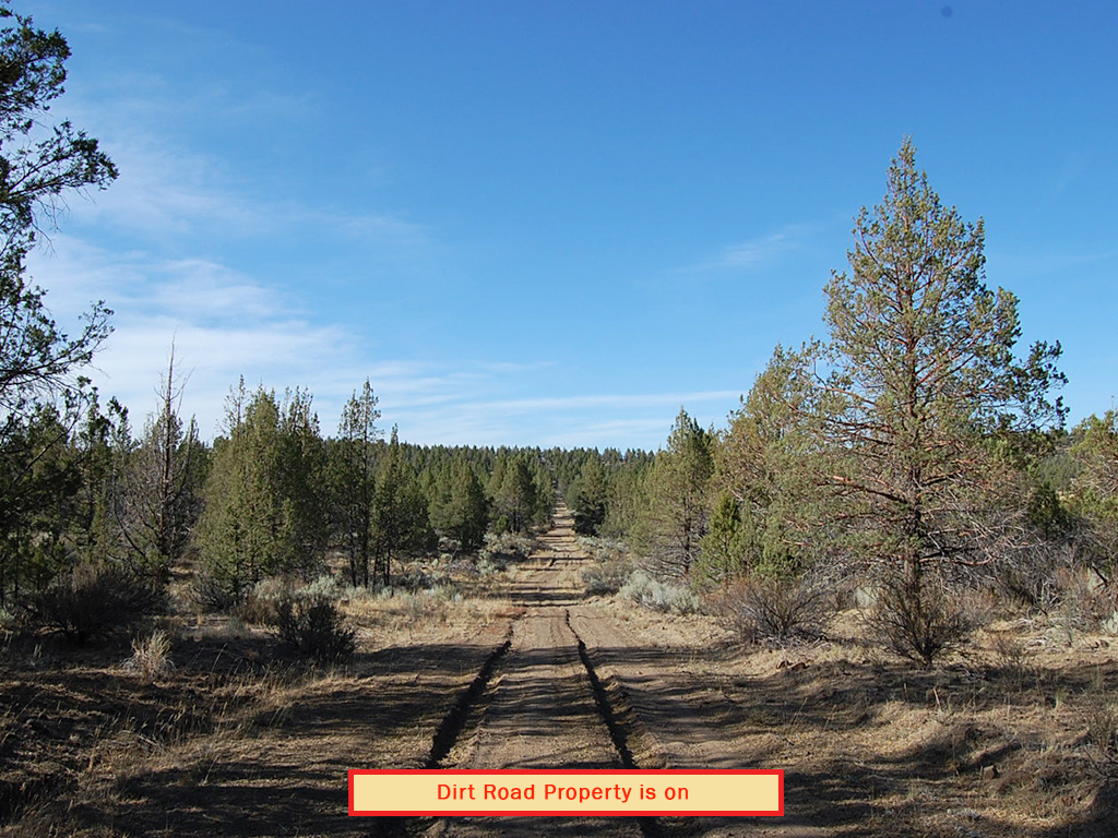 One and A Half Acre Modoc Residential Estate Property1