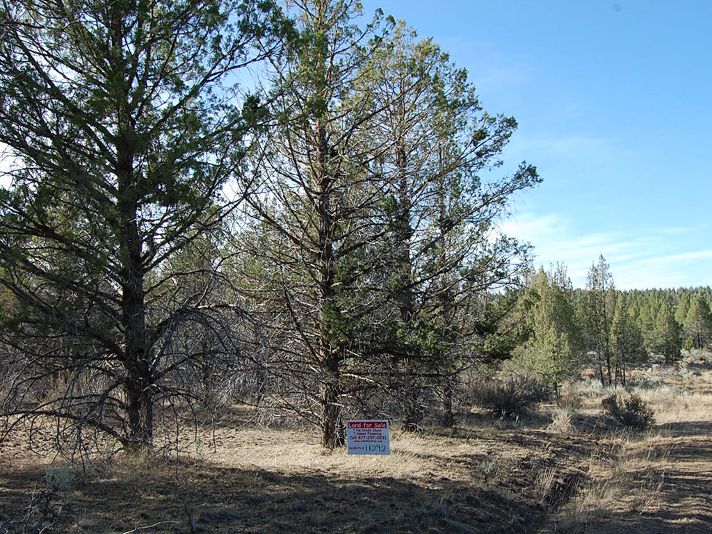 One and A Half Acre Modoc Residential Estate Property1