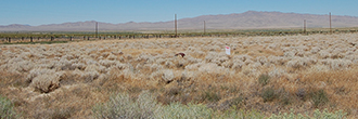 Corner Lots in Northern Nevada