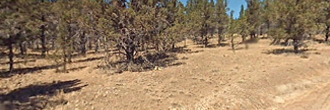 1.56-Acre Property Less than 7 Miles North of Alturas